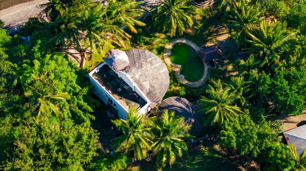 Hoe kan ik een duurzame en goedkope reis naar Nederland plannen?